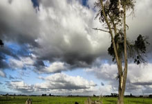 意甲比赛中的一支队伍崭露头角