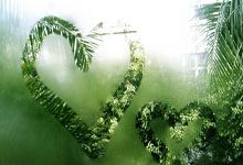 奥运会半决赛：法国队战胜小组晋级