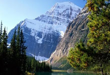 芬兰队在比赛中打败对手，积极表现——激情与智慧并存的胜利之夜