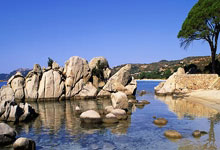 球队实力强劲，展现超强实力与拼搏精神