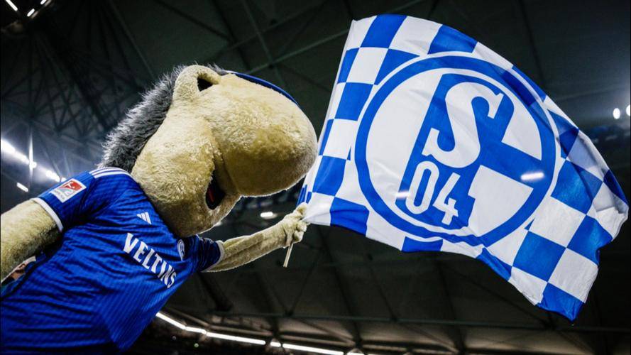 关于沙尔克主场告捷,重回升班马之位的信息 关于沙尔克主场告捷,重回升班马之位的信息